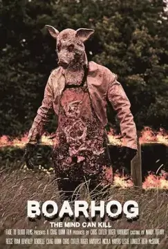 Боров онлайн